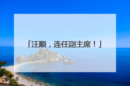 汪顺，连任副主席！