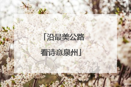 沿最美公路 看诗意泉州