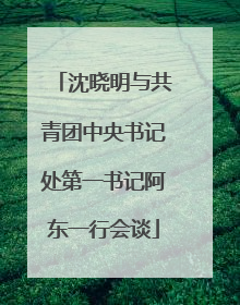 沈晓明与共青团中央书记处第一书记阿东一行会谈