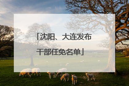 沈阳、大连发布干部任免名单