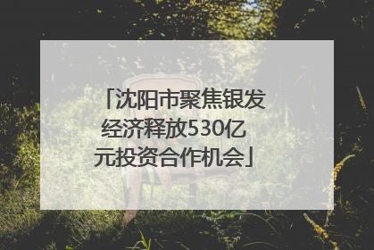 沈阳市聚焦银发经济释放530亿元投资合作机会