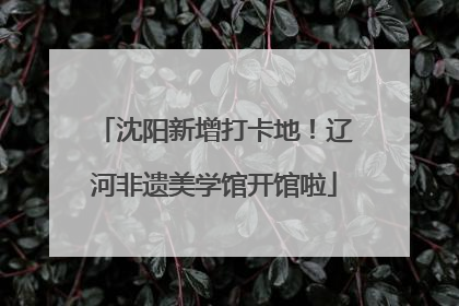 沈阳新增打卡地！辽河非遗美学馆开馆啦