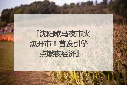 沈阳歇马夜市火爆开市！首发引擎点燃夜经济