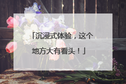 沉浸式体验，这个地方大有看头！