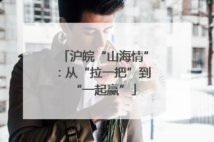沪皖“山海情”：从“拉一把”到“一起赢”