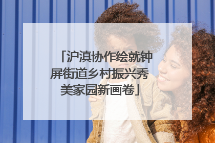 沪滇协作绘就钟屏街道乡村振兴秀美家园新画卷