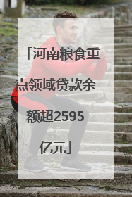 河南粮食重点领域贷款余额超2595亿元