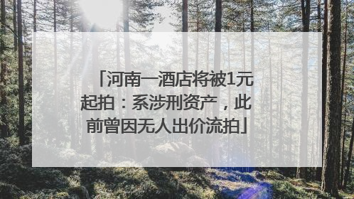 河南一酒店将被1元起拍：系涉刑资产，此前曾因无人出价流拍