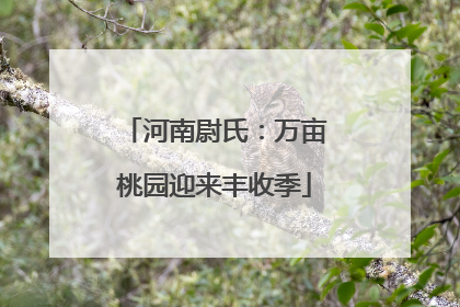 河南尉氏：万亩桃园迎来丰收季