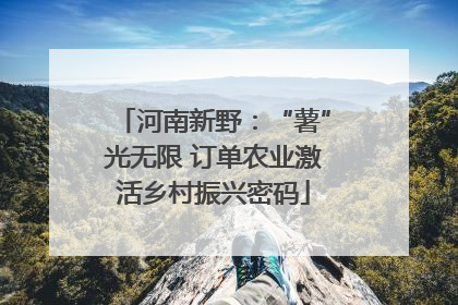 河南新野：“薯”光无限 订单农业激活乡村振兴密码