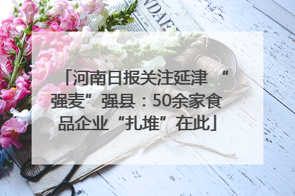 河南日报关注延津 “强麦”强县：50余家食品企业“扎堆”在此