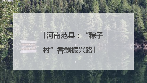 河南范县：“粽子村”香飘振兴路