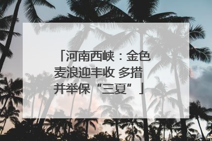 河南西峡：金色麦浪迎丰收 多措并举保“三夏”