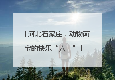 河北石家庄：动物萌宝的快乐“六一”