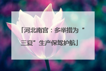 河北南宫：多举措为“三夏”生产保驾护航