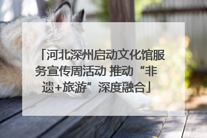 河北深州启动文化馆服务宣传周活动 推动“非遗+旅游”深度融合
