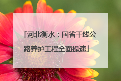 河北衡水：国省干线公路养护工程全面提速