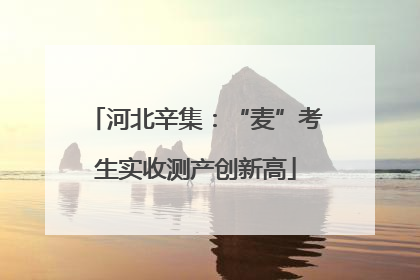 河北辛集：“麦”考生实收测产创新高