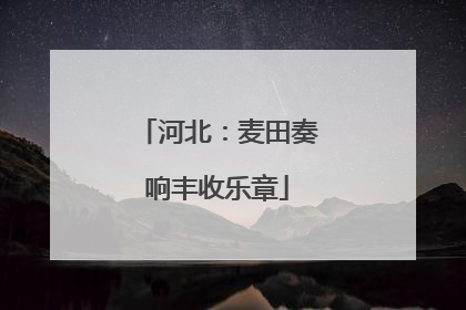 河北：麦田奏响丰收乐章