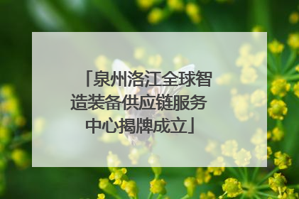 泉州洛江全球智造装备供应链服务中心揭牌成立
