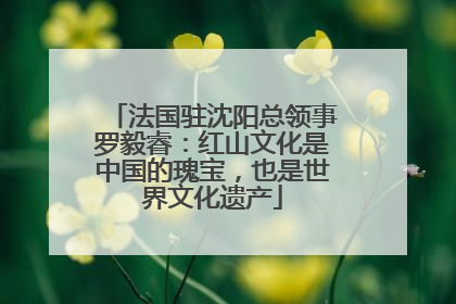 法国驻沈阳总领事罗毅睿：红山文化是中国的瑰宝，也是世界文化遗产