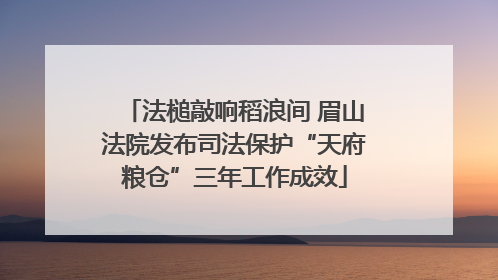 法槌敲响稻浪间 眉山法院发布司法保护“天府粮仓”三年工作成效
