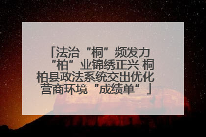 法治“桐”频发力 “柏”业锦绣正兴 桐柏县政法系统交出优化营商环境“成绩单”