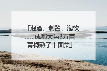 泡酒、制酱、泡饮……成都大邑3万亩青梅熟了丨图集