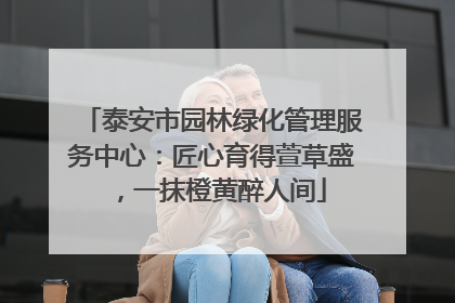 泰安市园林绿化管理服务中心：匠心育得萱草盛，一抹橙黄醉人间