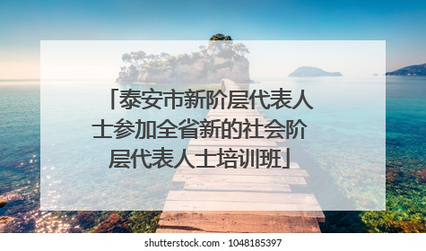 泰安市新阶层代表人士参加全省新的社会阶层代表人士培训班