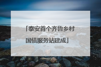 泰安首个齐鲁乡村国债服务站建成