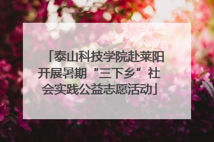 泰山科技学院赴莱阳开展暑期“三下乡”社会实践公益志愿活动