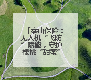 泰山保险：无人机“飞防”赋能，守护樱桃“甜蜜”丰收路