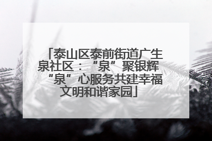 泰山区泰前街道广生泉社区：“泉”聚银辉“泉”心服务共建幸福文明和谐家园