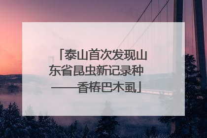 泰山首次发现山东省昆虫新记录种——香椿巴木虱