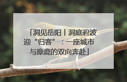 洞见岳阳丨洞庭碧波迎“归客”：一座城市与麋鹿的双向奔赴