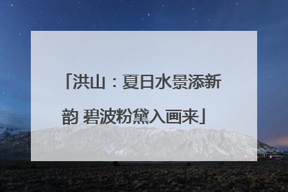 洪山：夏日水景添新韵 碧波粉黛入画来