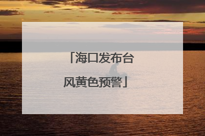 海口发布台风黄色预警
