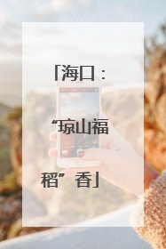 海口：“琼山福稻”香