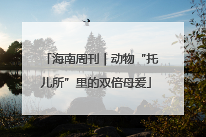 海南周刊｜动物“托儿所”里的双倍母爱