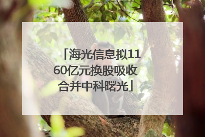 海光信息拟1160亿元换股吸收合并中科曙光