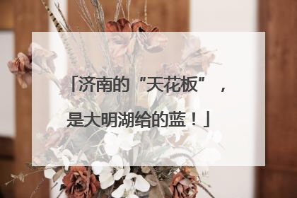 济南的“天花板”，是大明湖给的蓝！