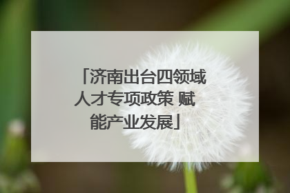 济南出台四领域人才专项政策 赋能产业发展