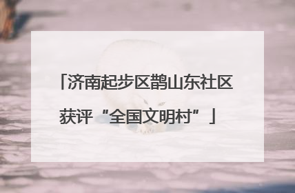 济南起步区鹊山东社区获评“全国文明村”