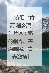 济阳“黄河·稻乡湾”片区：稻荷飘香、善治惠民、青春激扬