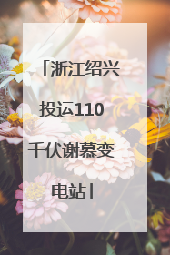 浙江绍兴投运110千伏谢慕变电站