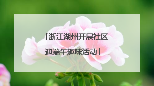 浙江湖州开展社区迎端午趣味活动
