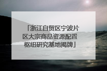 浙江自贸区宁波片区大宗商品资源配置枢纽研究基地揭牌