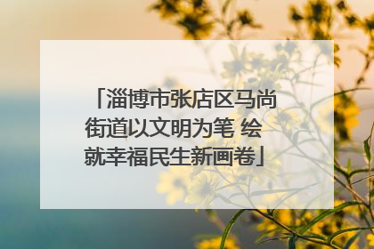 淄博市张店区马尚街道以文明为笔 绘就幸福民生新画卷