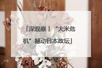 深观察丨“大米危机”撼动日本政坛